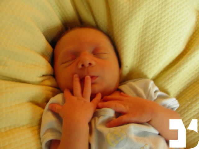 Yuki - 20090823 18.39 - 14 giorni - 959-FDM.JPG
